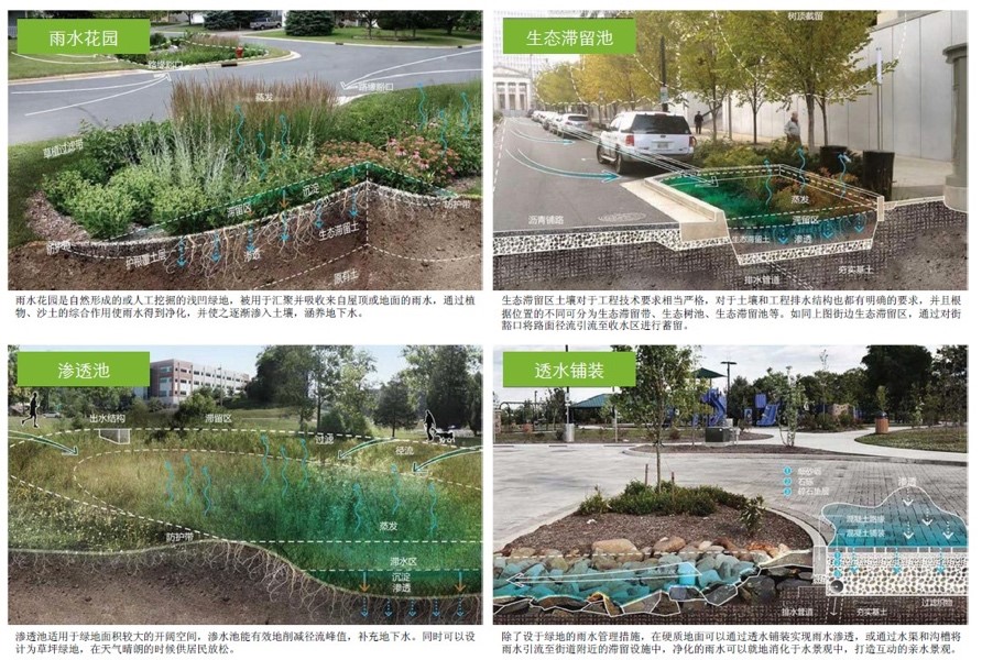 1646201183728540.jpg 2.jpg